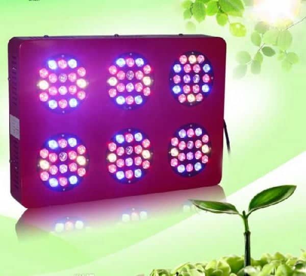 Best Spectrum - LED grow lights for medical plants