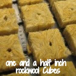 one and a half inch rockwool Cubes