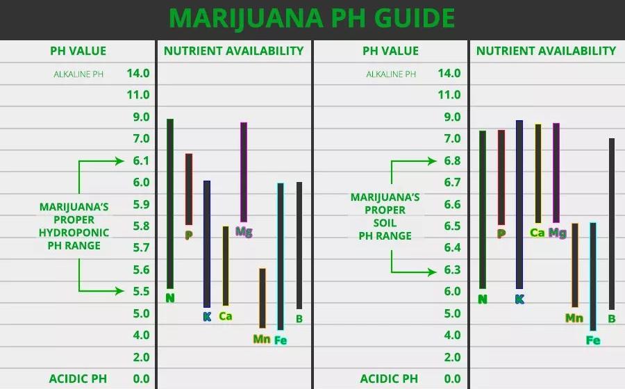 cannabis ph meter chart