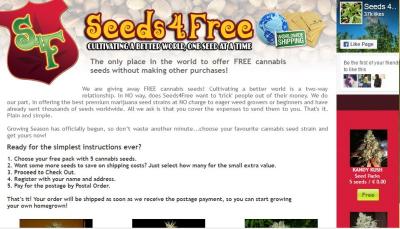 Cannabis Seeds 4 Free Review
