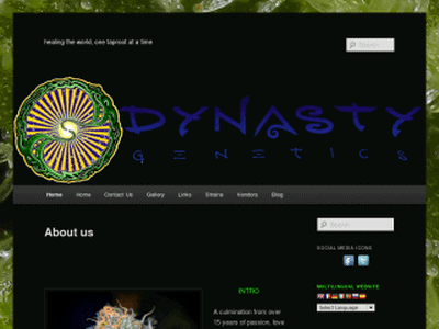 Dynasty Seeds Review