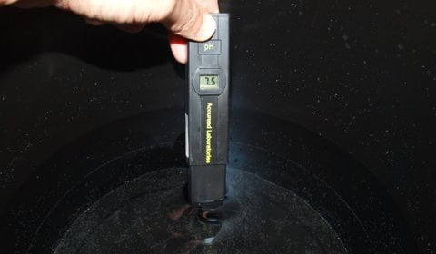 pH Meter indicates thе pH level