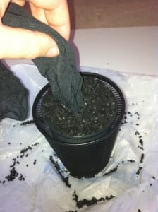 Micro Carbon Filter 6