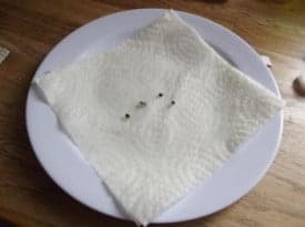 Paper towel germination method