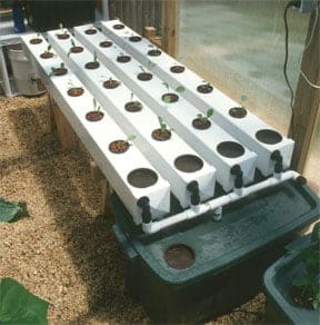 pvc-pipe-hydroponic-garden-2