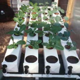 Build your own diy aeroponic system